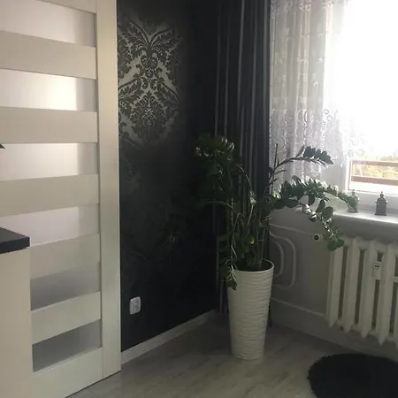 Black & White Stettin